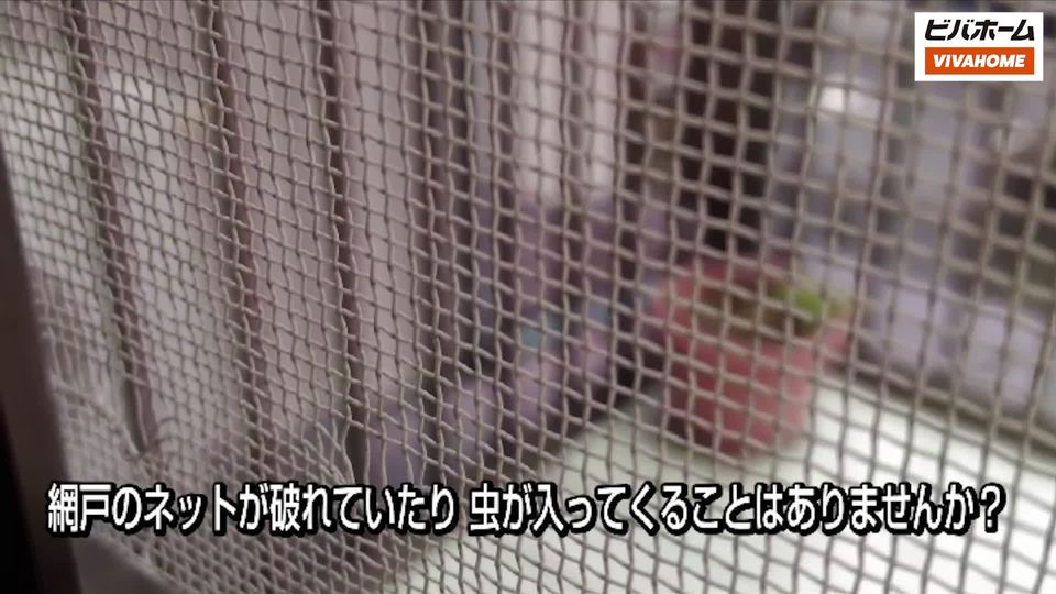 ビバホーム船橋店 Line Official Account