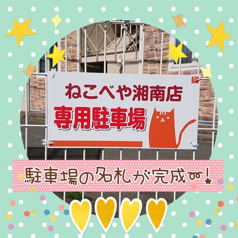 Mixed Media Feed ねこべや湘南 Line Official Account