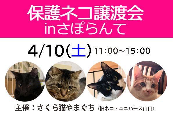 Recent Media 山口市市民活動支援センターさぽらんて