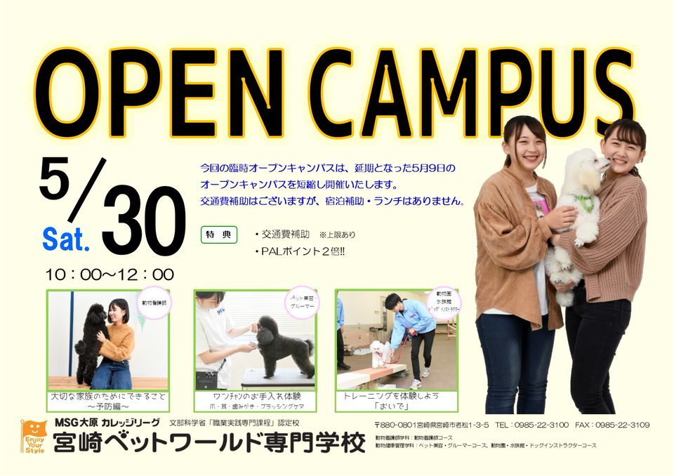 Mixed Media Feed 宮崎ペットワールド専門学校