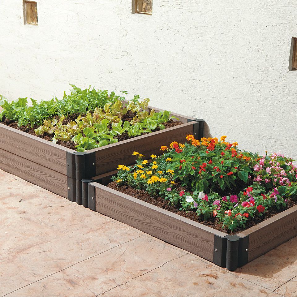 Mixed Media Feed カインズ 掛川店