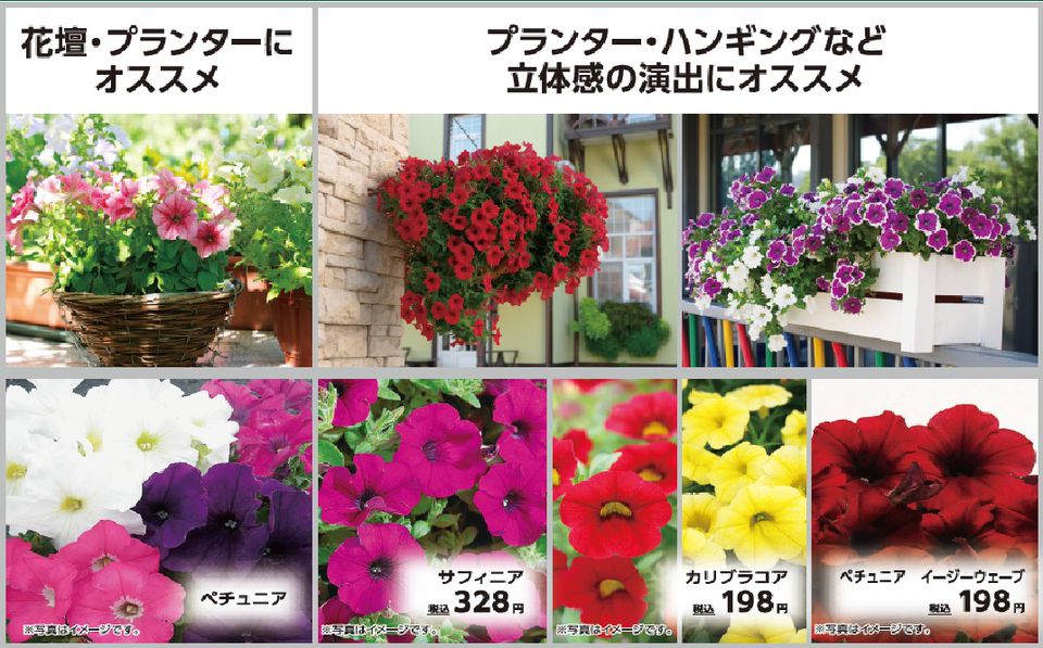 Mixed Media Feed コメリ パワー鹿沼店