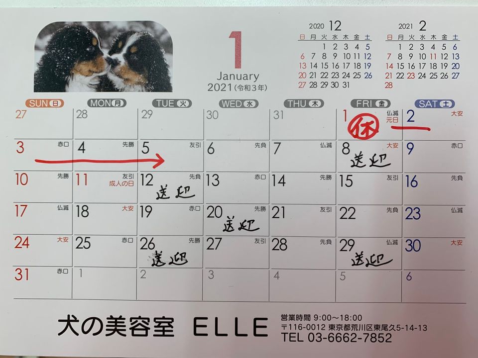 Mixed Media Feed 犬の美容室elle