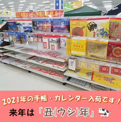 Recent Media ミスターマックス 湘南藤沢店