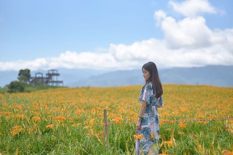 花蓮六十石山 必去金針花景點