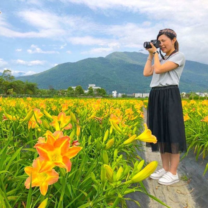 花蓮嘉德金針花田