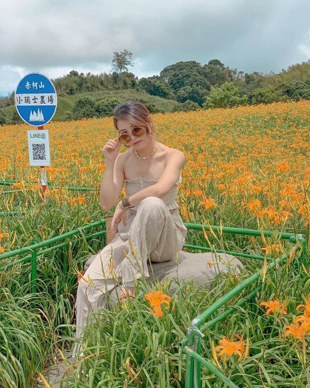 花蓮赤科山金針花景點