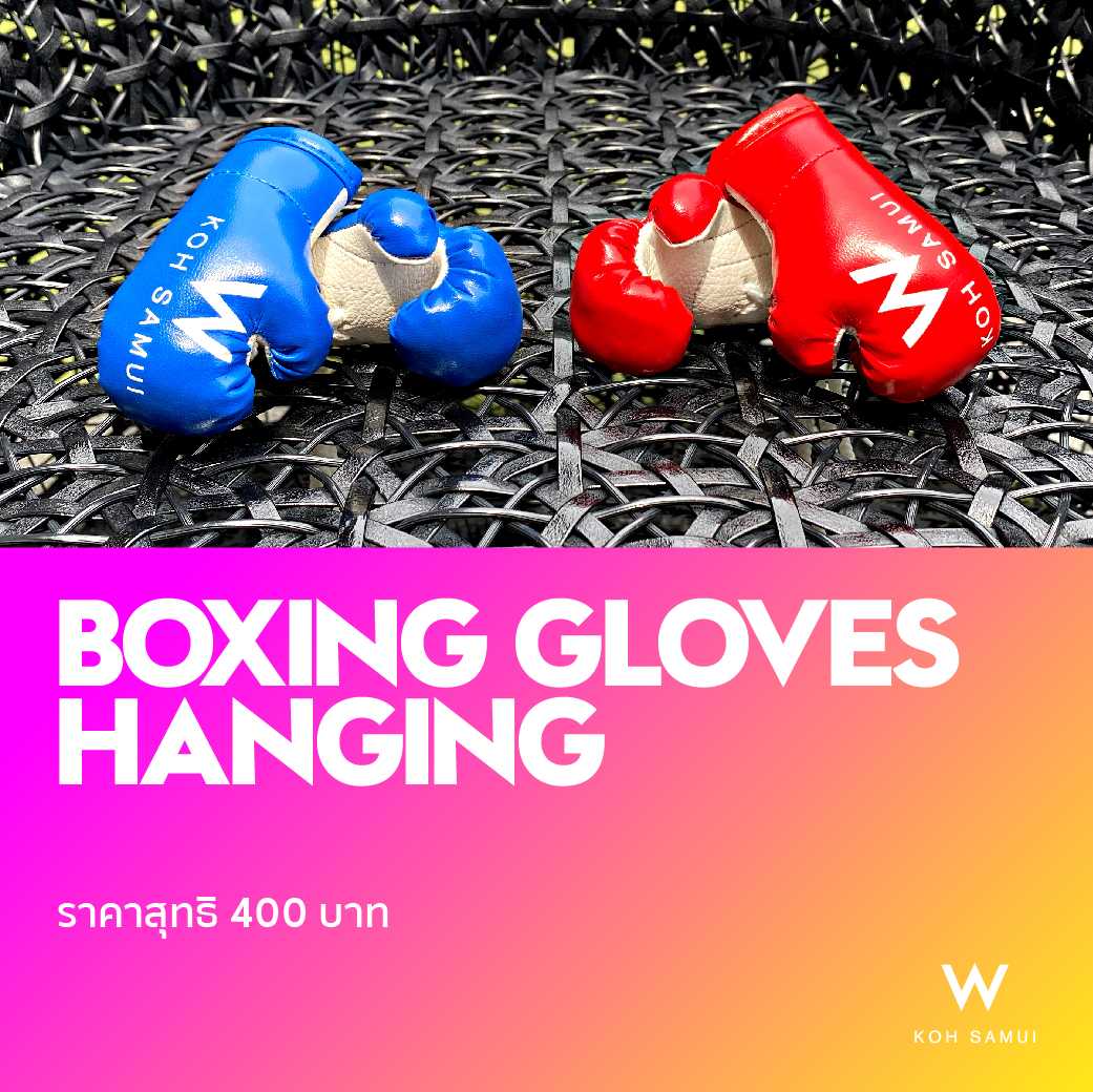 Boxing Gloves Hanging