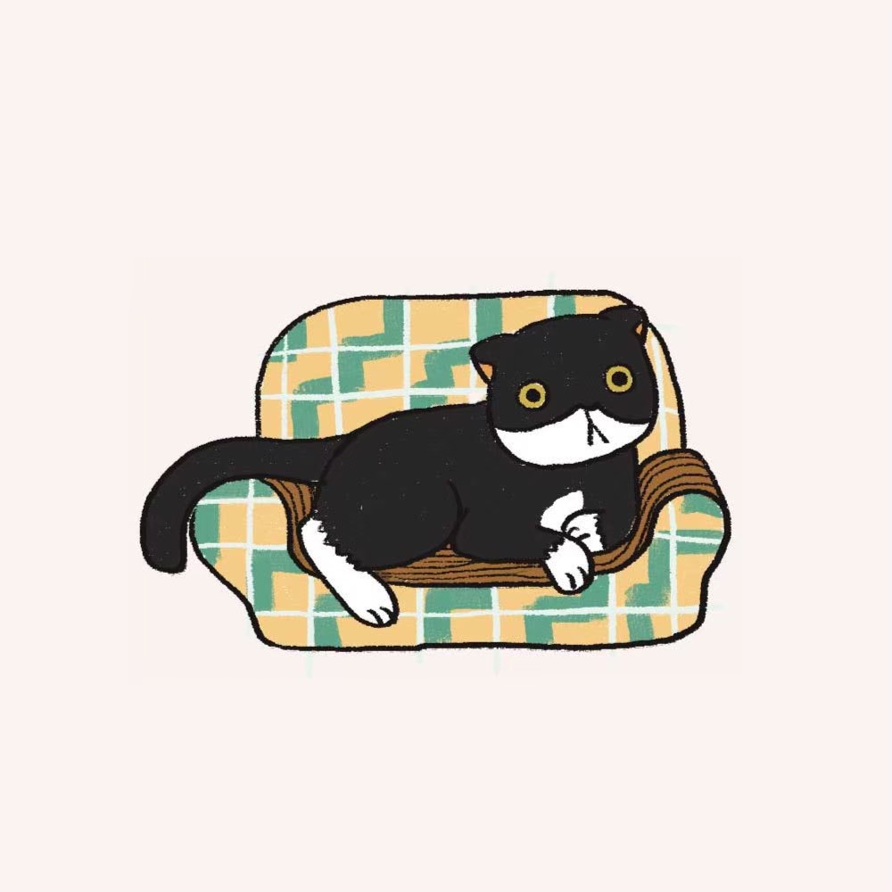 Cat Sofa 