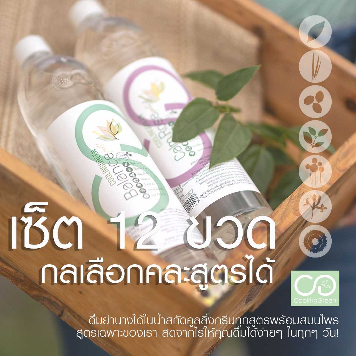 เซ็ต 12 ขวด ส่งฟรี+ลด10% กดเลือกคละสูตรได้ [พร้อมส่ง 2-3 วันหลังสั่งค่ะ]