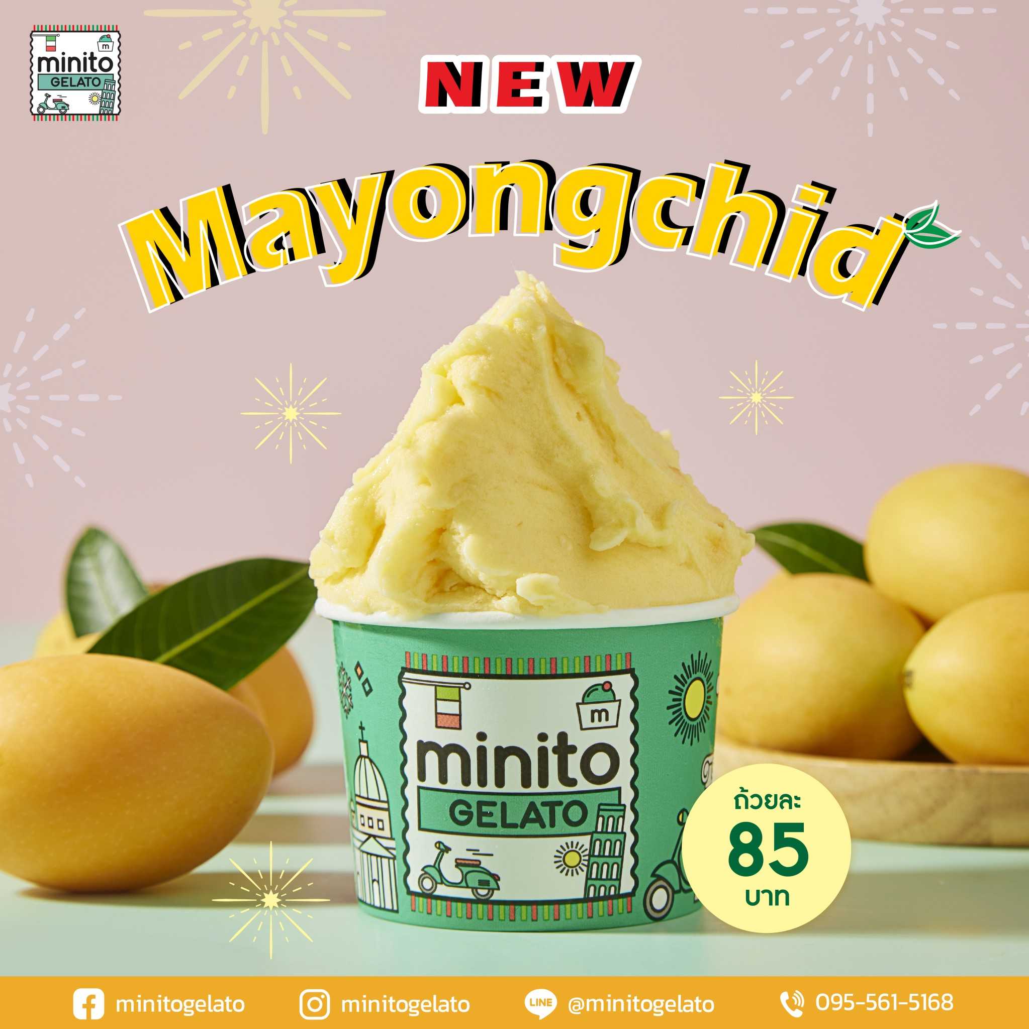 Mayongchid ไอศกรีมรสมะยงชิด
