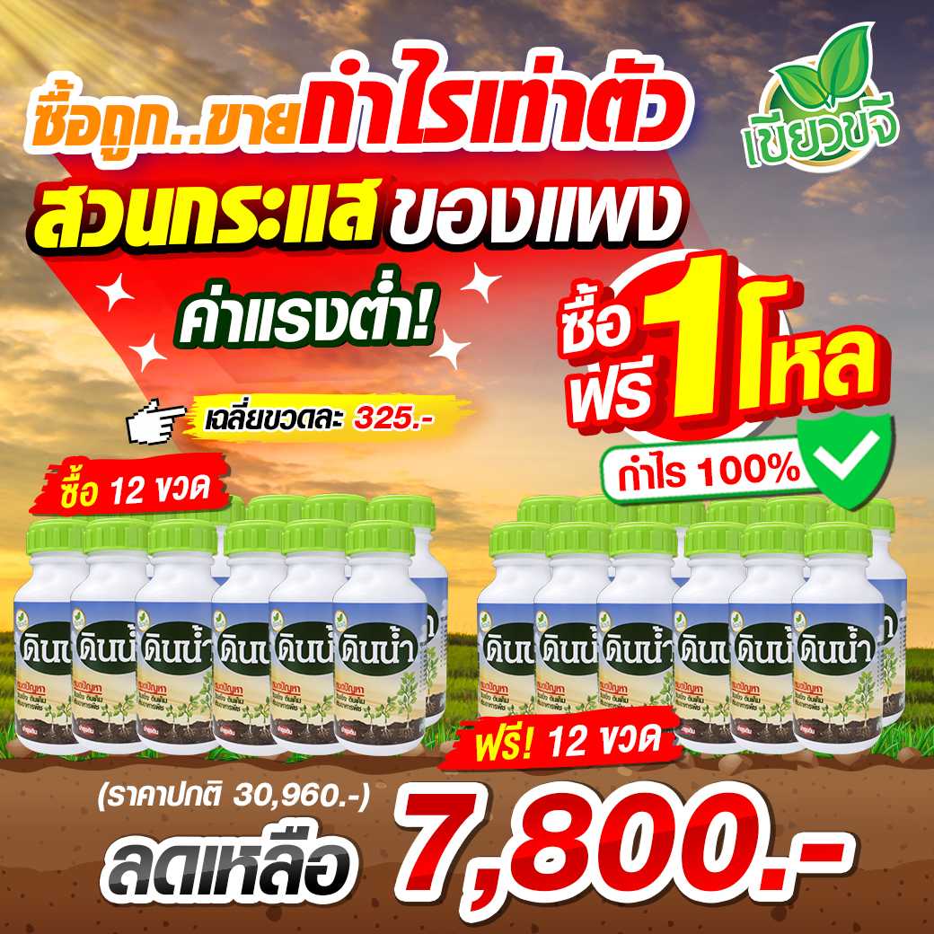 โปรโมชั่นตัวแทนจำหน่าย ซื้อ 1 โหล ฟรี 1 โหล กำไร 100%