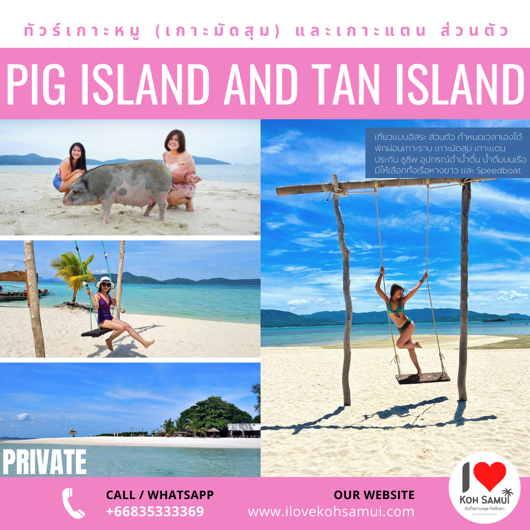[PRIVATE] ทัวร์ส่วนตัว เกาะหมู (มัดสุม) เกาะแตน (ราคาต่อลำ) จาก สมุย (Pig Island tour)