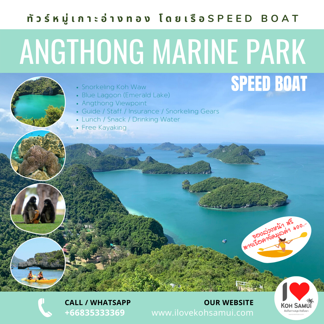 Angthong Marine Park by Speedboat - ทัวร์หมู่เกาะอ่างทอง สปีดโบ๊ท จากเกาะสมุย