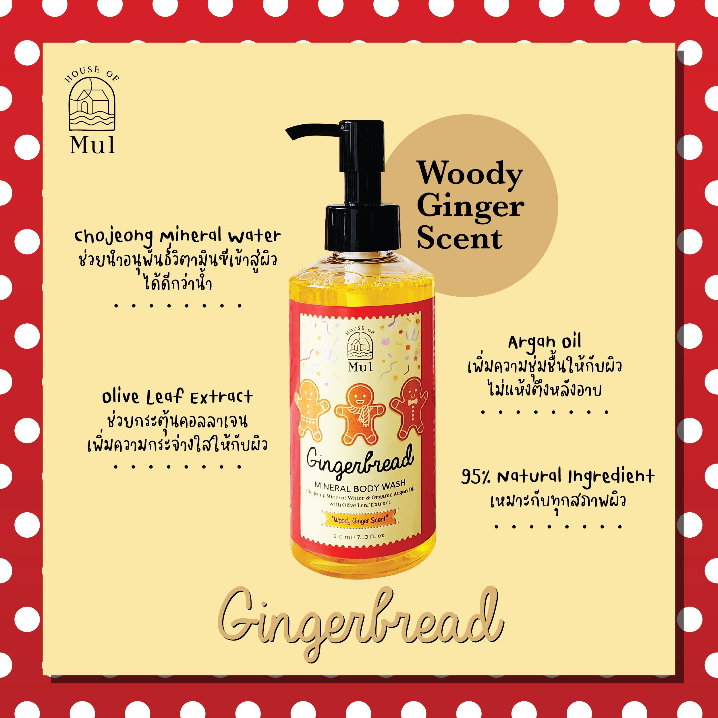 GINGERBREAD Mineral Body Wash