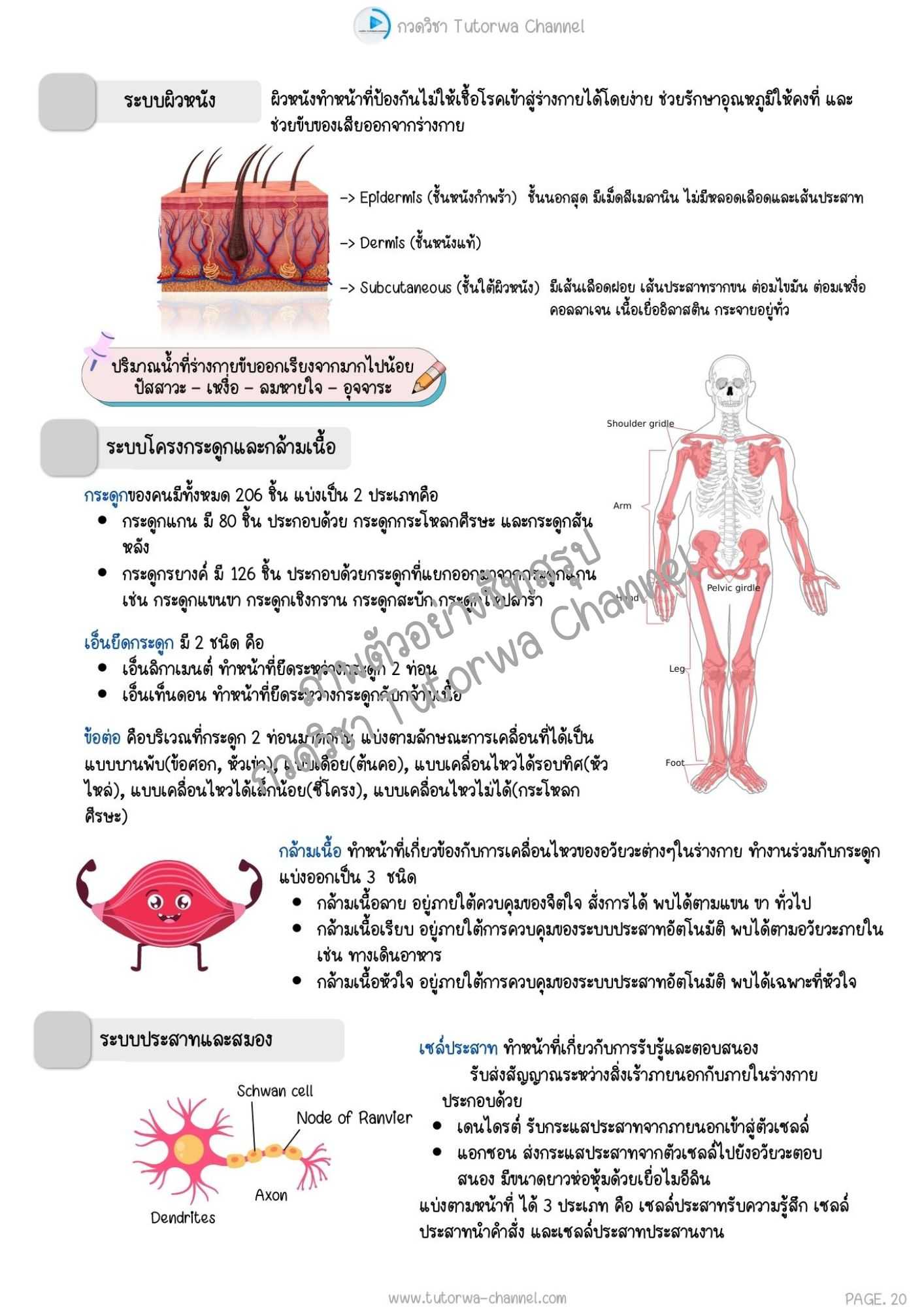 product-carousel-2