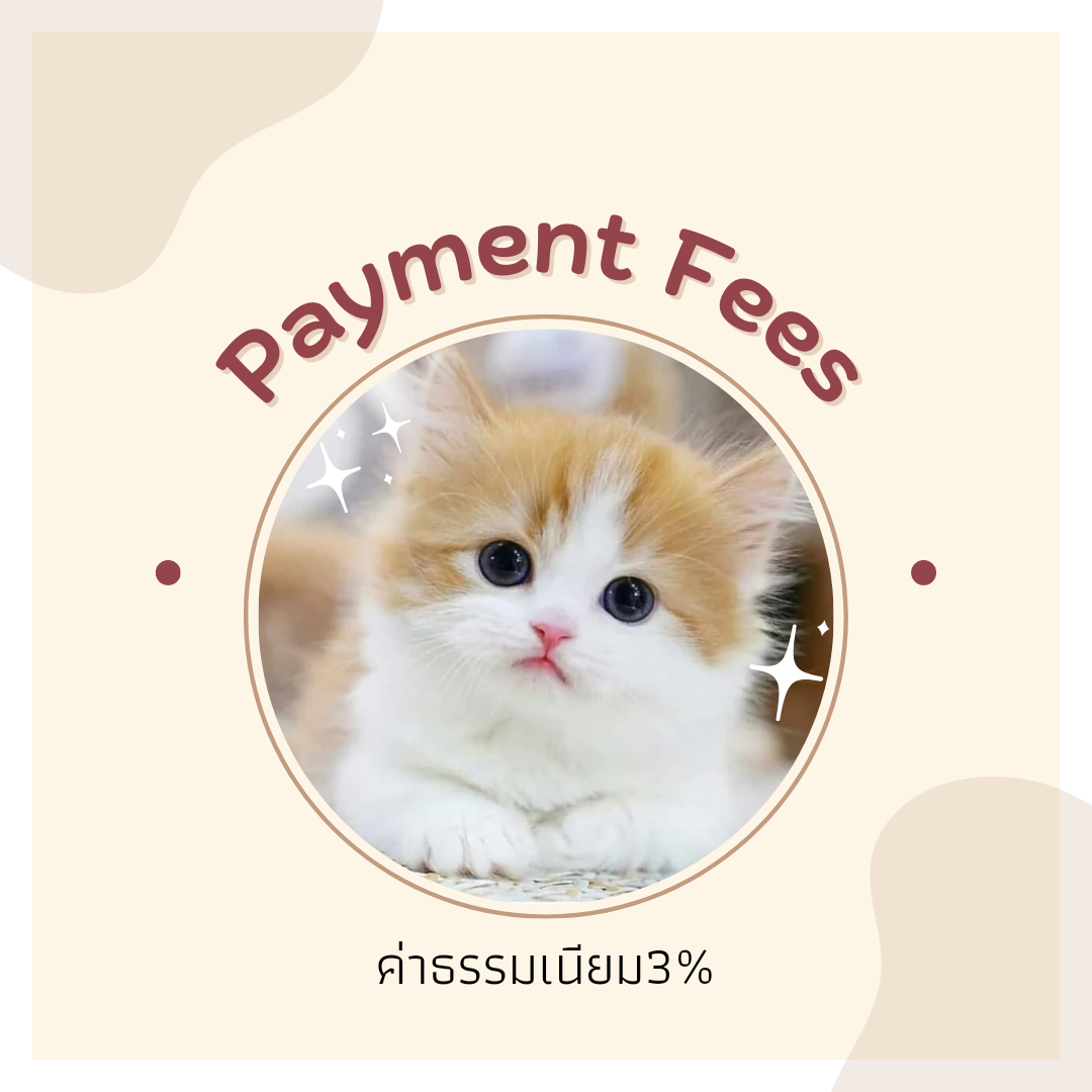 Payment fees