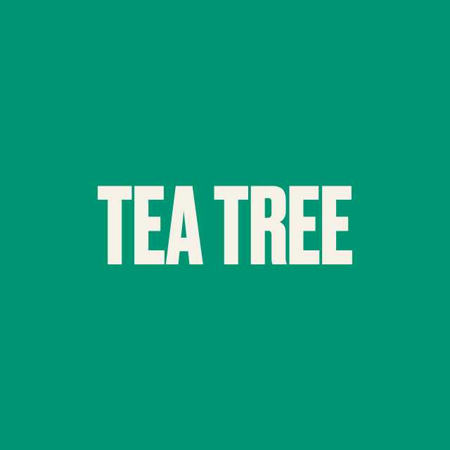 TEA TREE