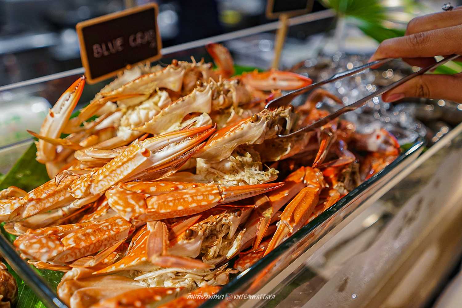 BBQ Seafood Buffet