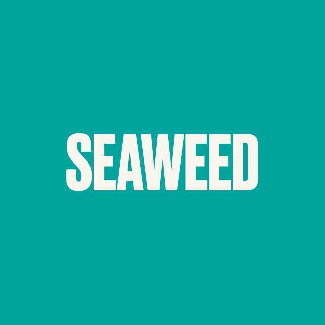 SEAWEED