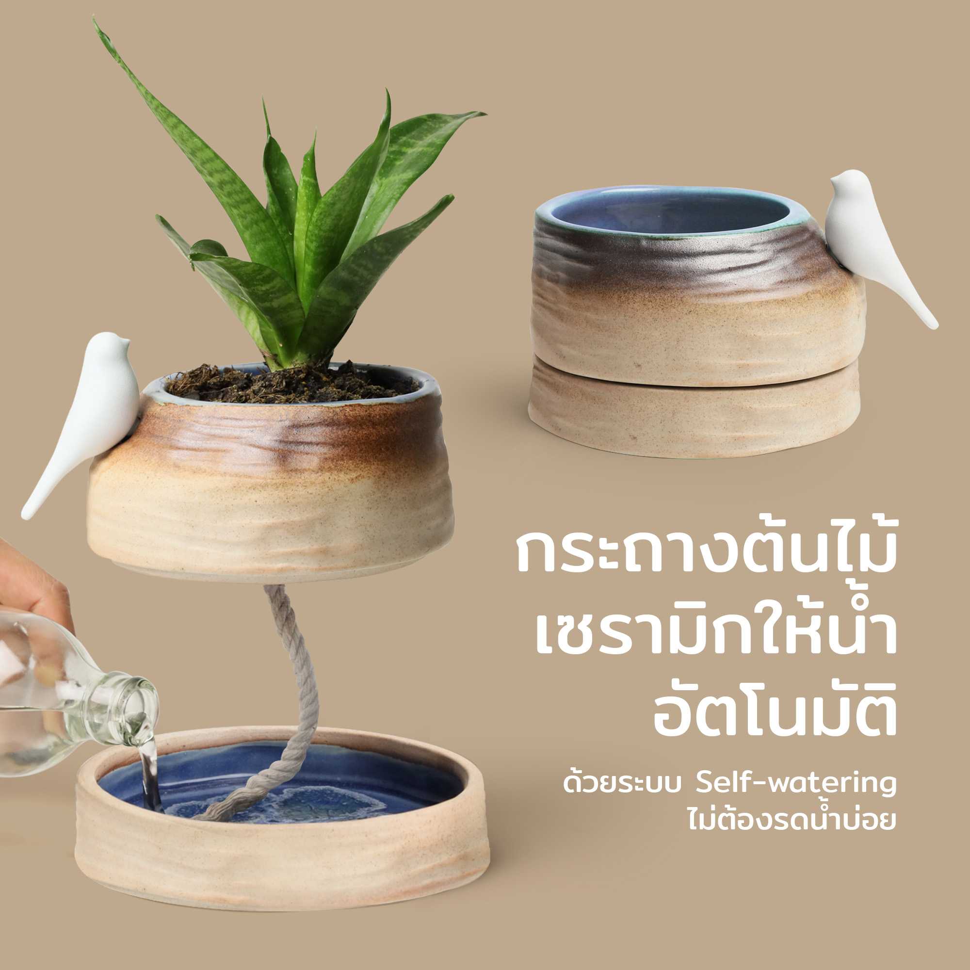 Deskscape Plant Pot กระถางต้นไม้เซรามิก ให้น้ำอัตโนมัติ