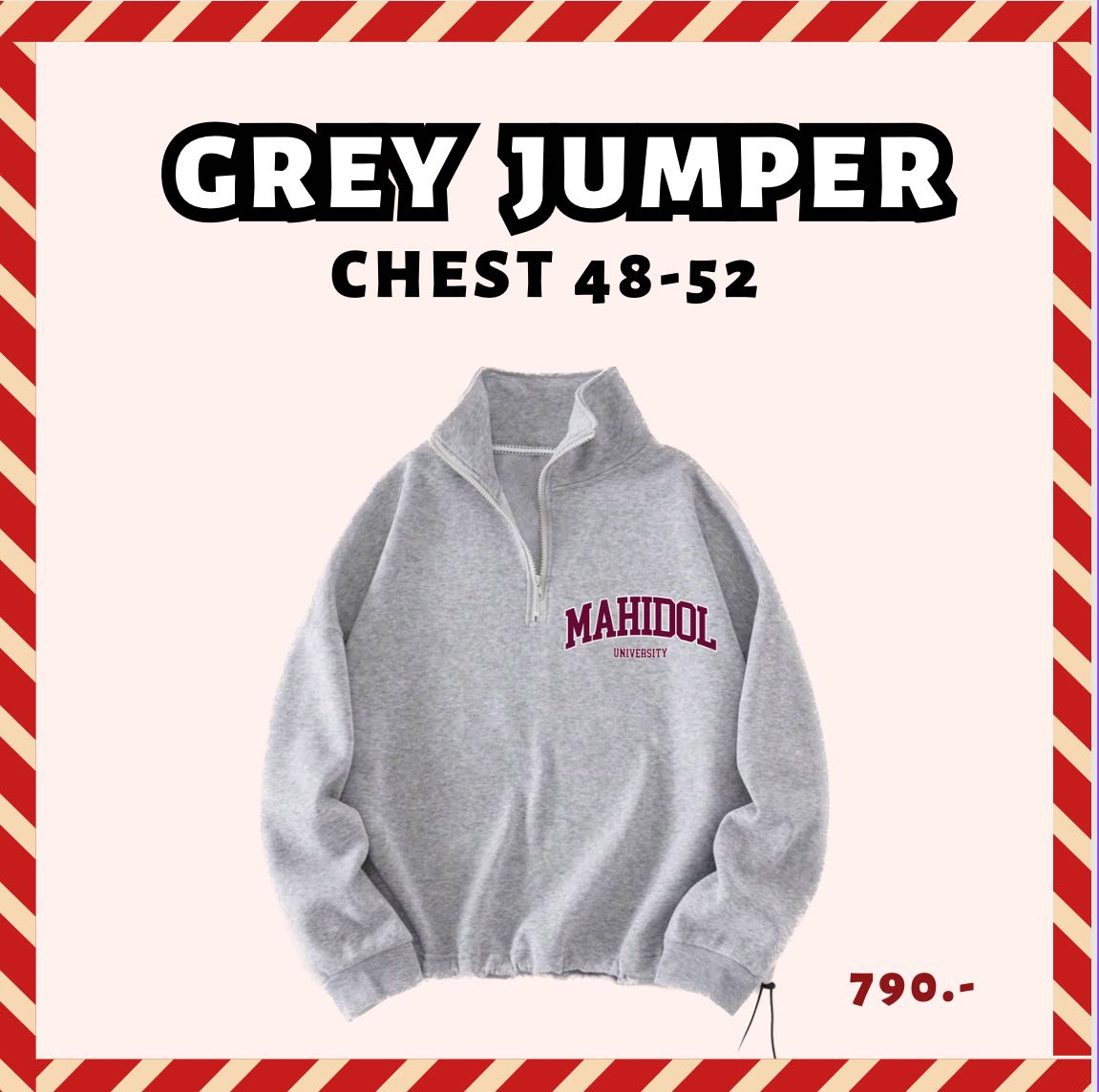 Grey Jumper