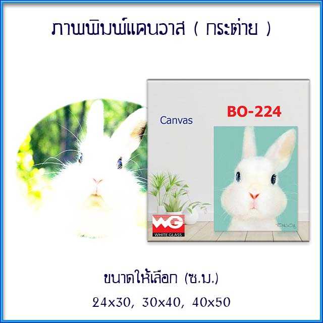 White Glass สินค้าสำเร็จรูป-ภาพพิมพ์แคนวาสกระต่าย (สัตว์เลี้ยงขนาดเล็ก)