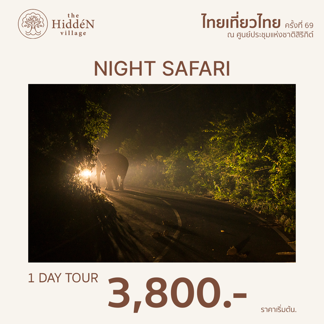 Night Safari Tour