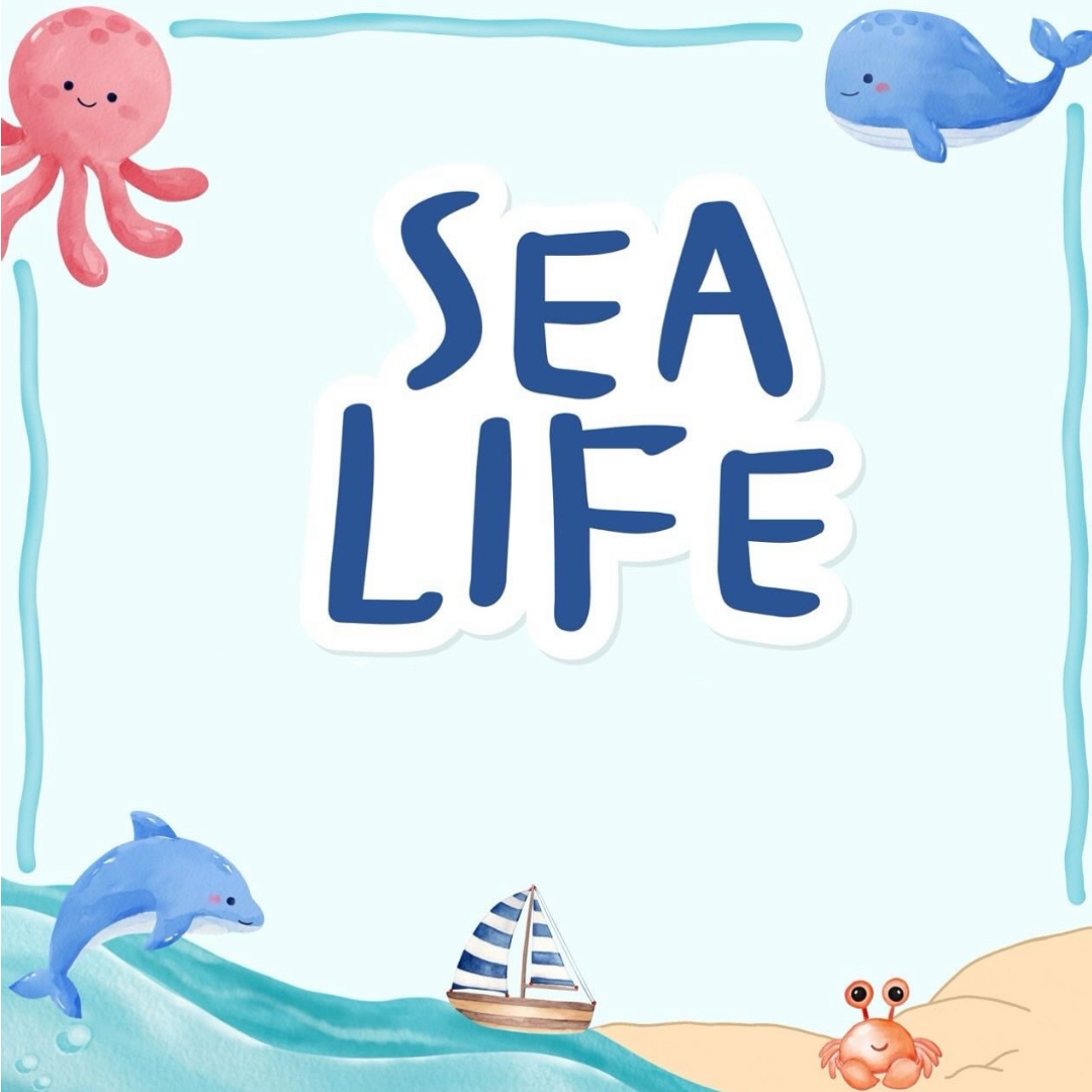 SEA LIFE 🐳🪸