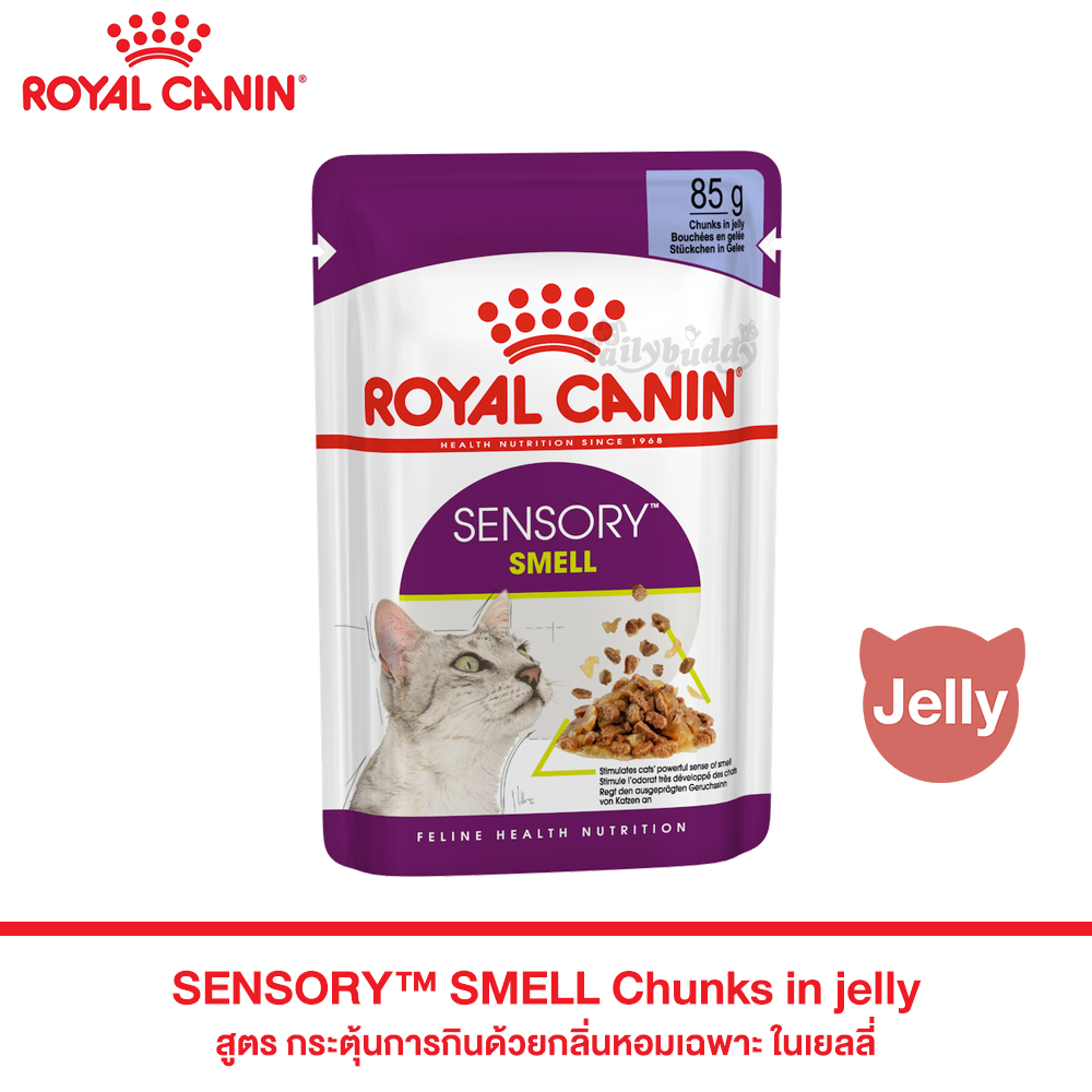 Royal Canin SENSORY SMELL อาหารแมวแบบเปียก สำหรับแมวช่างเลือก กระตุ้นการกินด้วยกลิ่นหอมเฉพาะ (เจลลี่